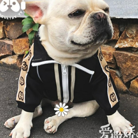 🎊HOST PICK🎊 GiGi Double G Doggy track jacket - Picture 2 of 3